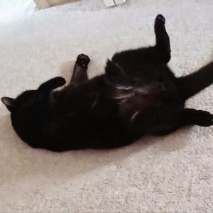 Meet your Posher, Patience